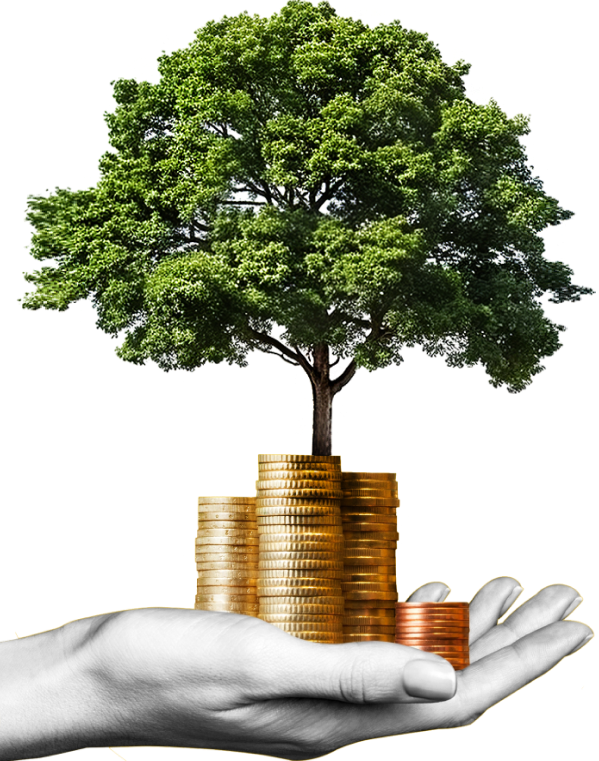 https://physicaltherapyturkey.com/wp-content/uploads/2024/09/image_group_02.png